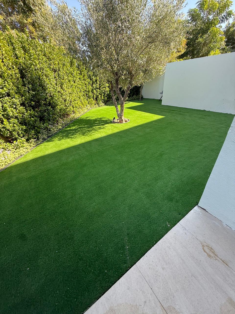 WhatsApp Image 2025-12-30 at 12.01.13 PM