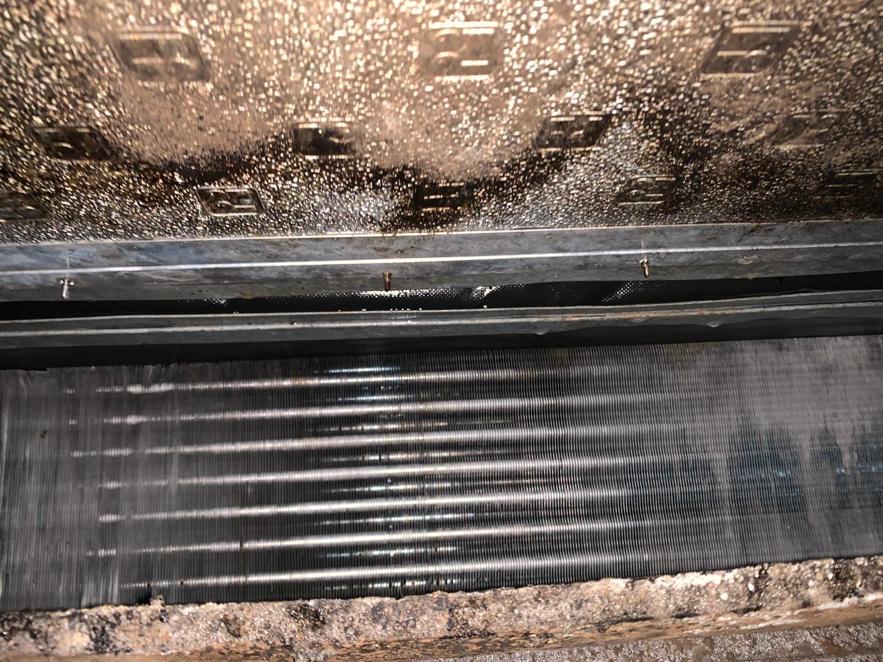 WhatsApp Image 2026-01-12 at 1.17.22 AM