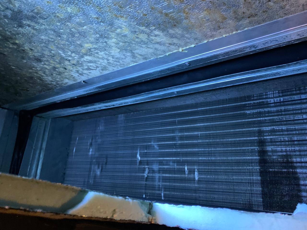 WhatsApp Image 2026-01-12 at 1.17.23 AM