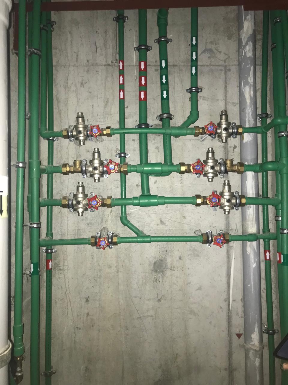 WhatsApp Image 2026-02-19 at 12.20.24 AM